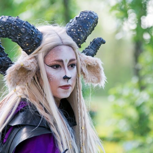 Elfia Haarzuilens 2022